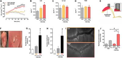 Effect of Physical Training on Exercise-Induced Inflammation and Performance in Mice